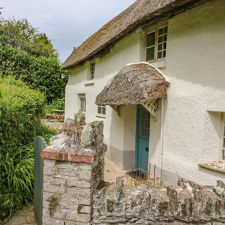Elworthy Cottage Salcombe Dış mekan fotoğraf